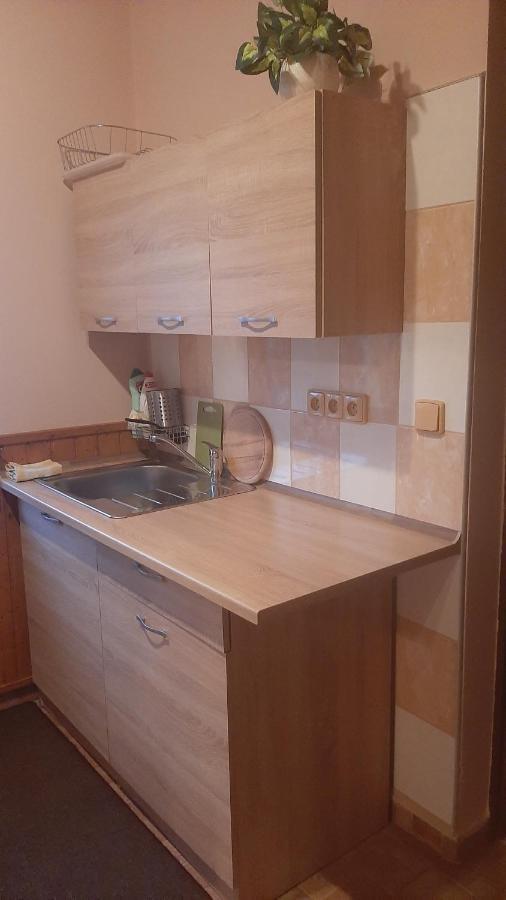 Guest House Vila Frydstejn Екстер'єр фото
